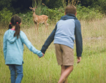 Kartrite Explore Hiking Deer Kids