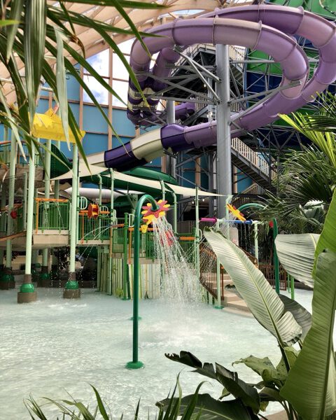 Large indoor water park with a twisting purple slide, shallow pool, water sprayers, and tropical plants under a glass roof.