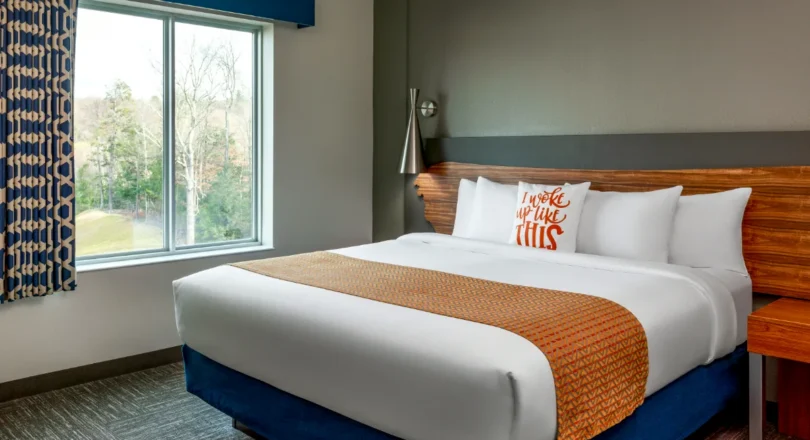 Modern hotel room with a large bed, orange runner, decorative pillow, window with trees outside, patterned curtains, and gray accent wall.