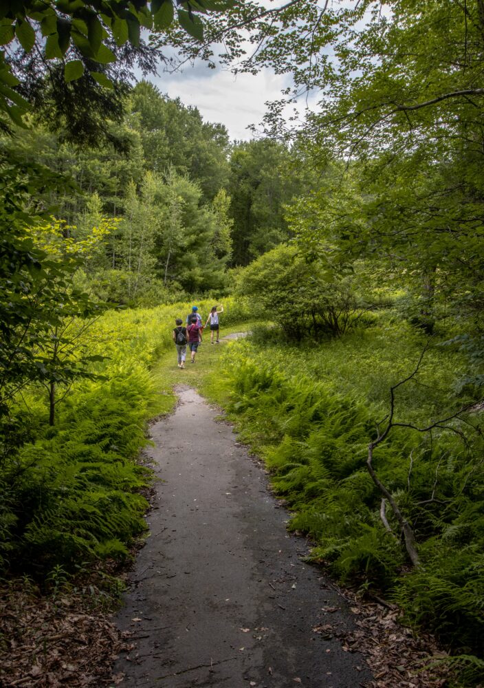 Three people walk on a paved path through a lush green forest under a cloudy sky. Ferns and trees line the trail, creating a peaceful, natural scene.